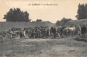 TLEMCEN MARCHE ARABE